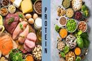 بررسی ارتباط دریافت منابع پروتئینی حیوانی و گیاهی و غذاهای فرآوری شده با فرتوت شدگی در سالمندان: مطالعه مقطعی از مطالعه طولی سالمندی بیرجند